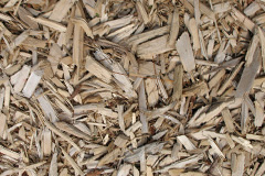 biomass boilers Whitwood